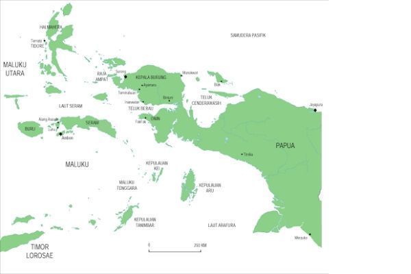 nama nama dataran rendah di pulau papua dan maluku