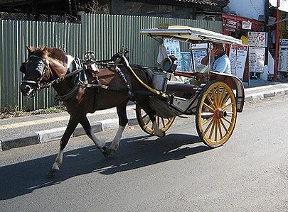 Kereta kuda sewaan seperti dokar di Yogyakarta