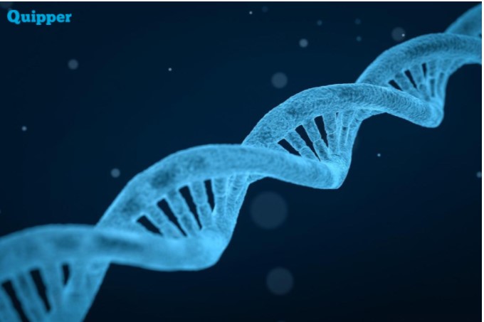 Apa yang dimaksud dengan DNA dan RNA