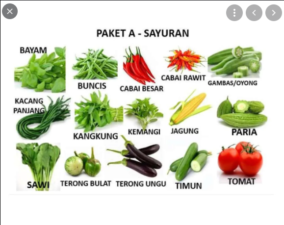Apa yang dimaksud dengan sayuran