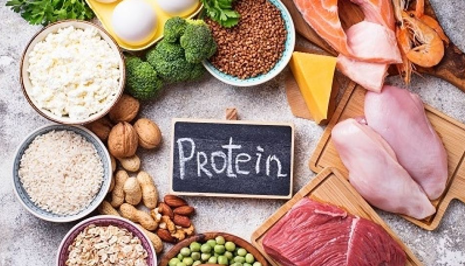 Apa yang dimaksud dengan protein