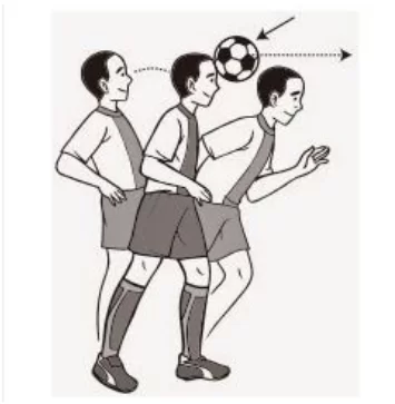 Sikap otot leher yang benar saat melakukan tekhnik dasar gerakan menyundul bola adalah